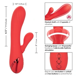 Vibrator Rabbit Palisades Passion Rosu