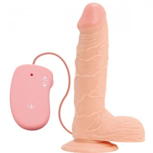 Vibrator Realist Cu Ventuza Pentru Perete Dildo Realist Cu Testicule Si Ventuza