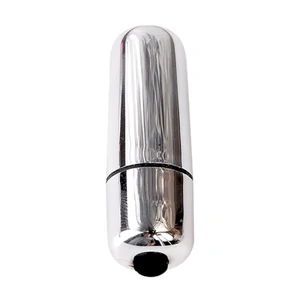 Vibrator Toyz4Lovers Mini Egg Argintiu Vibrator Toyz4Lovers Mini Egg Argintiu pe Denysa.ro