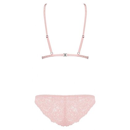 Set Obsessive Delicanta Roz L-XL