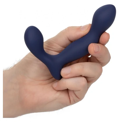 Stimulator Prostată Viceroy Expert Probe Albastru