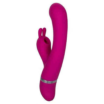 Vibrator Foreplay Frenzy Bunny Kisser Roz