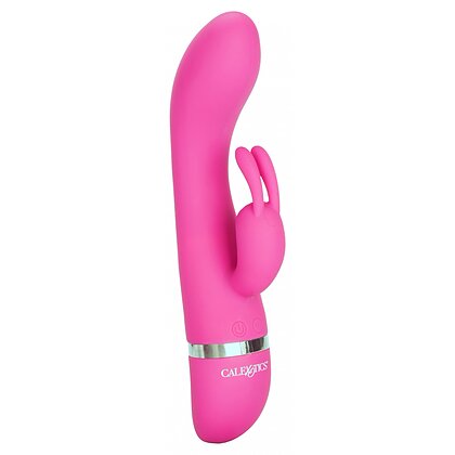 Vibrator Foreplay Frenzy Bunny Roz