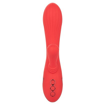 Vibrator Rabbit Palisades Passion Rosu